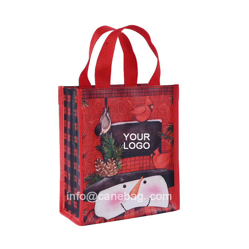 Laminated Reusable Gift Bag