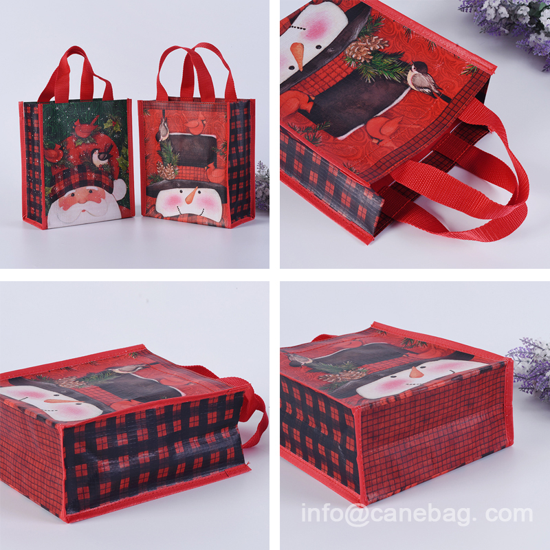 Laminated Reusable Gift Bag