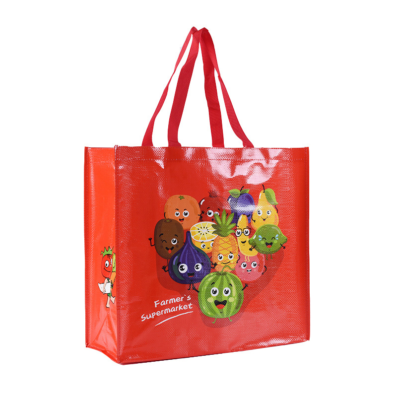 Custom Laminated Bag
