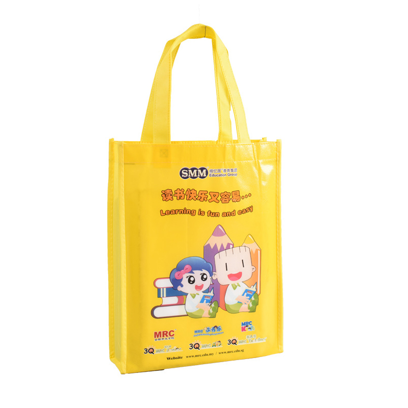 Custom PP Non-woven Bags
